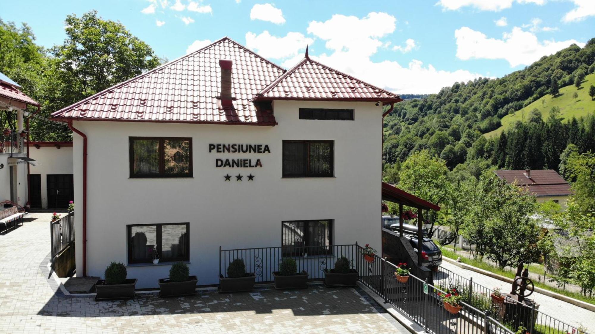 Pensiunea Daniela Moisei Ngoại thất bức ảnh